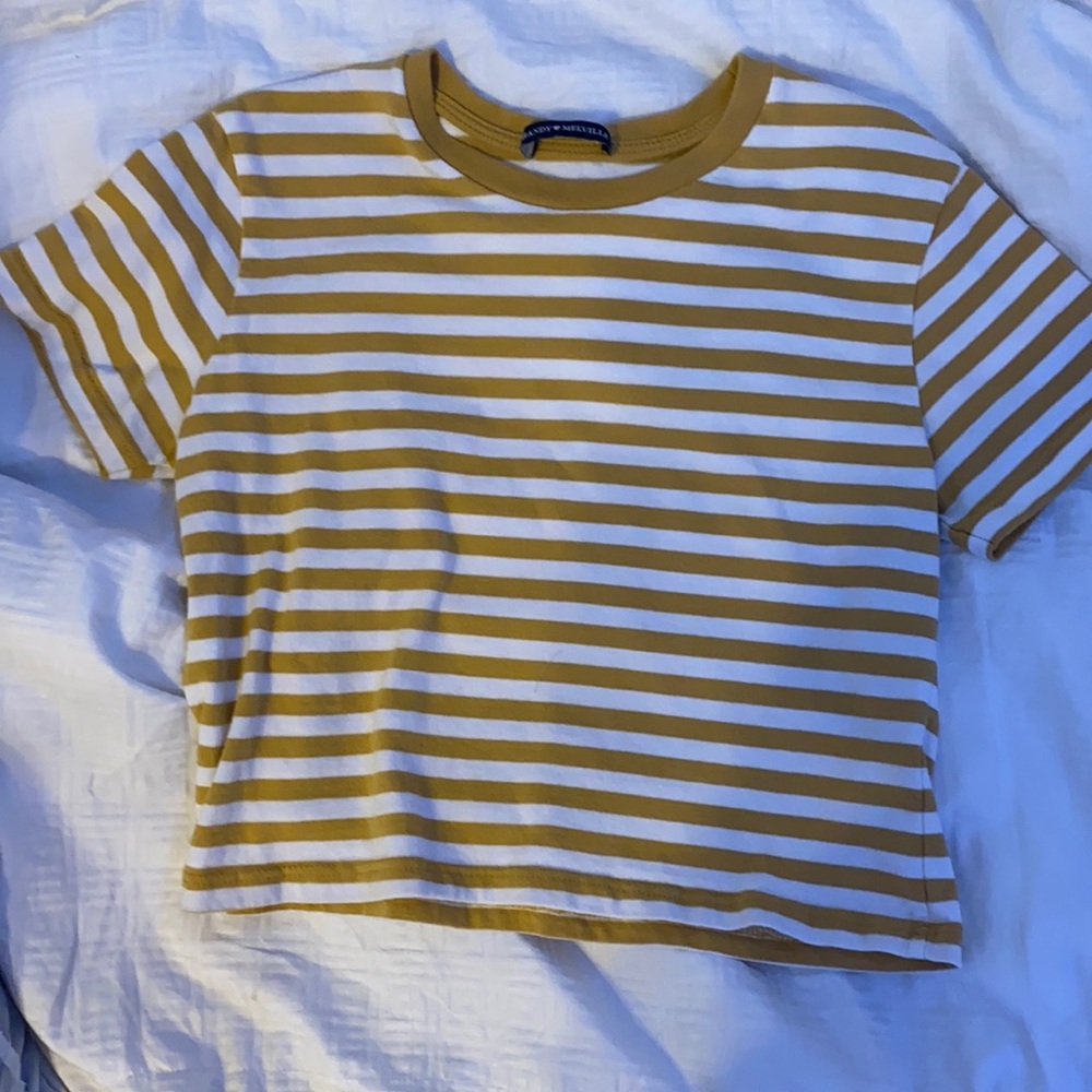 Brandy Melville Crop Top!